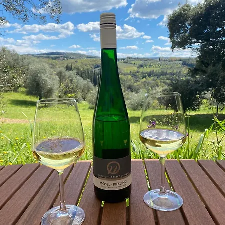 Weingut-Aparthotel Olinger-2